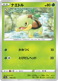 Turtwig