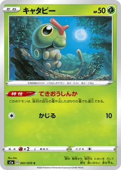 Caterpie