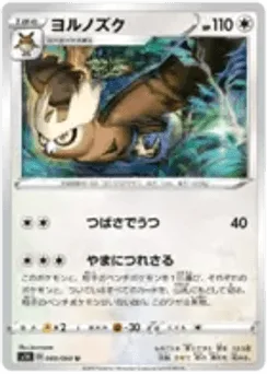 Noctowl