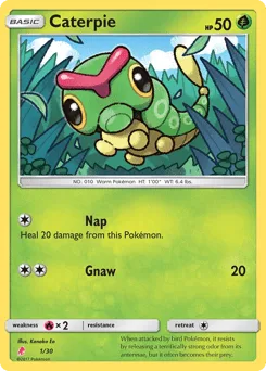 Caterpie