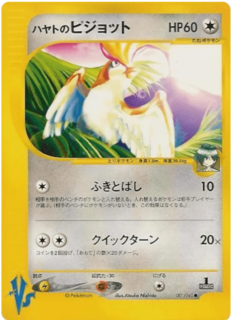 Falkner's Pidgeot
