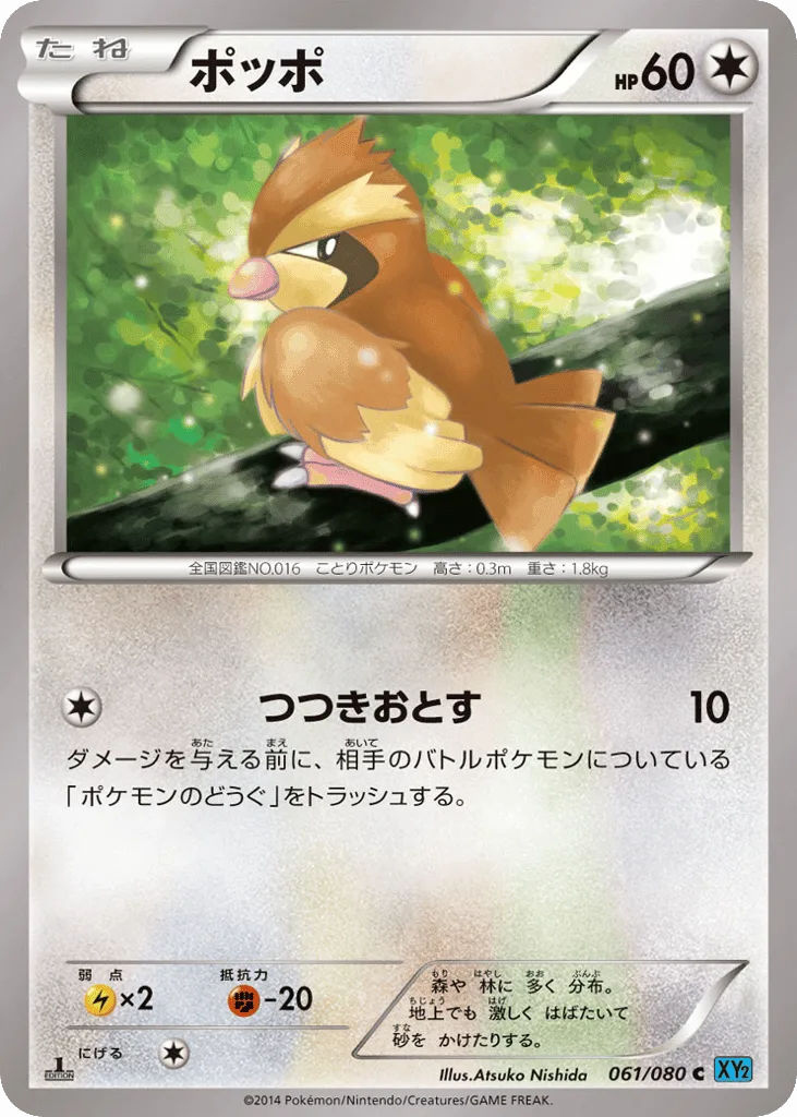 Pidgey