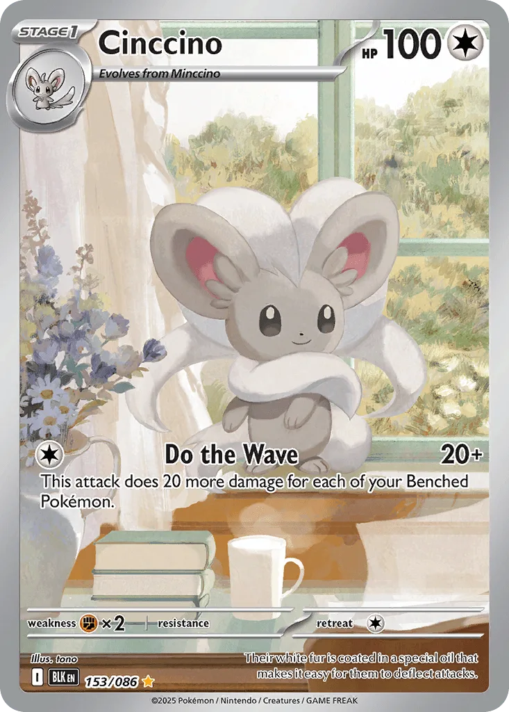 Cinccino