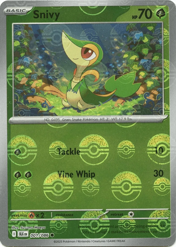 Snivy  (Master Ball)