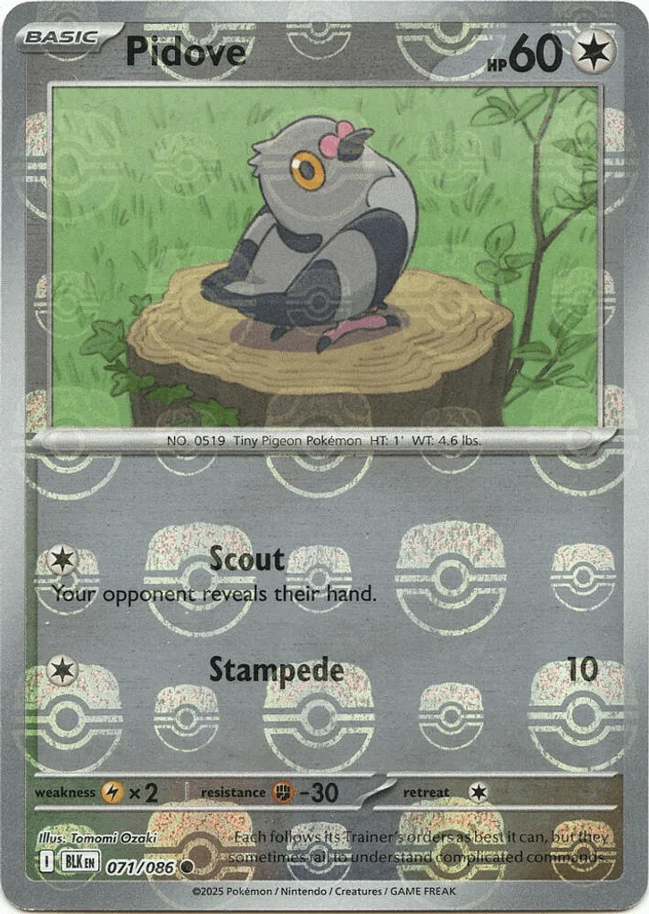 Pidove  (Master Ball)