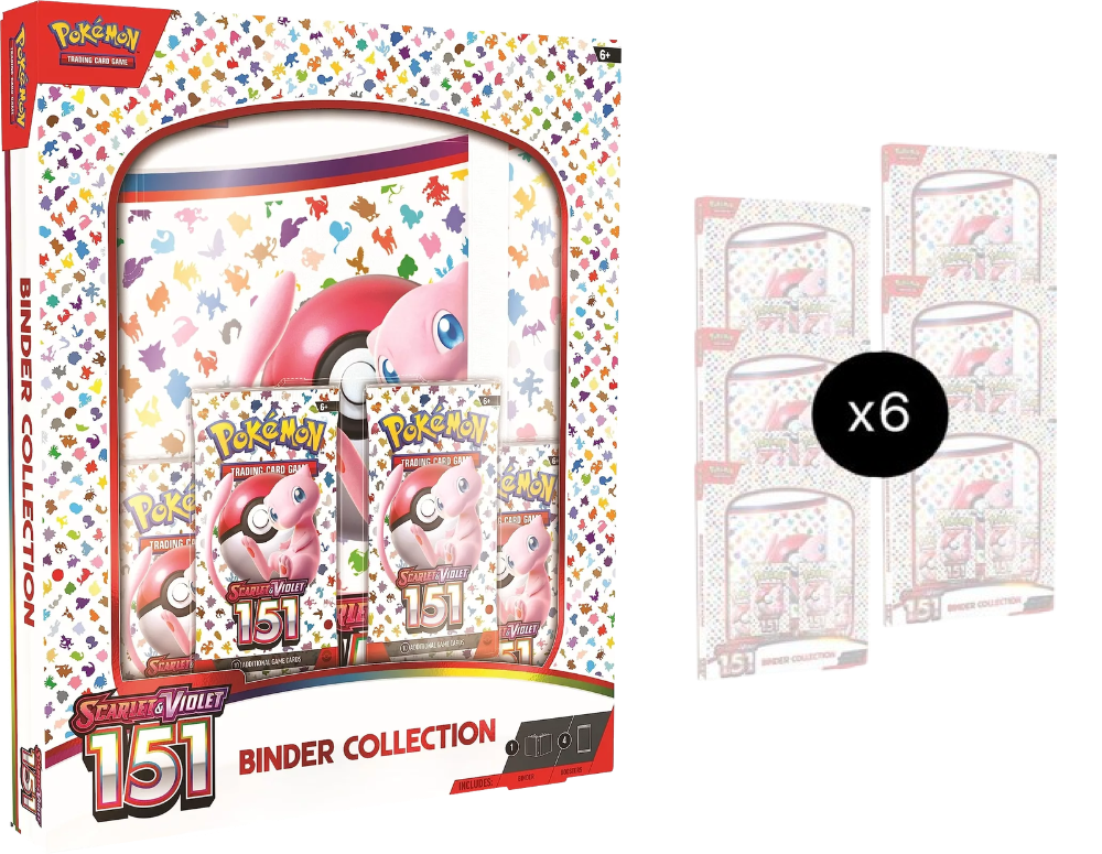 151 Binder Collection Case