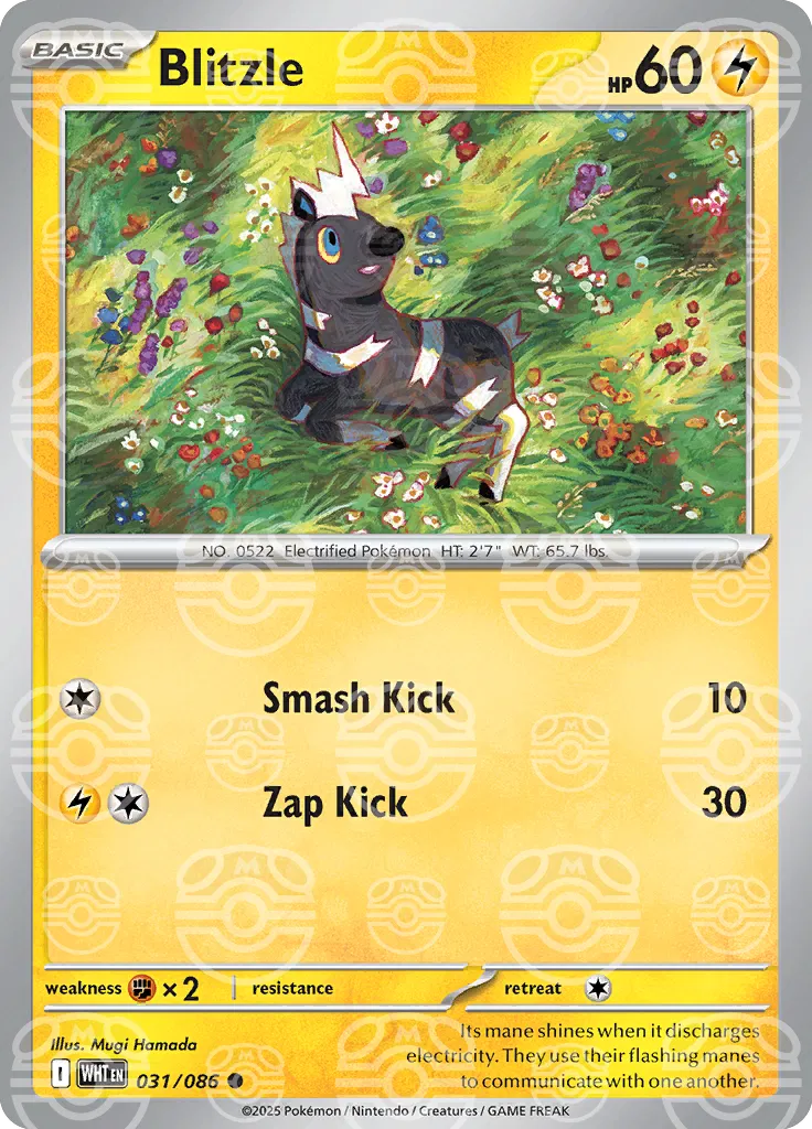 Blitzle (Master Ball)