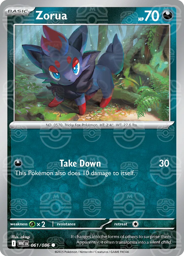 Zorua  (Master Ball)