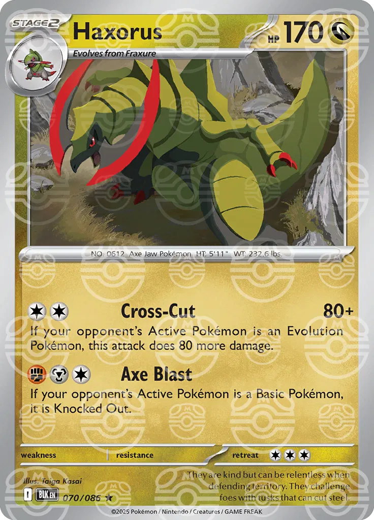 Haxorus  (Master Ball)
