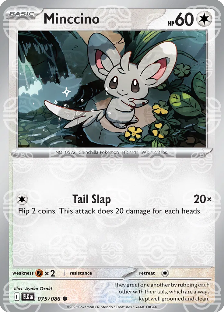 Minccino (Master Ball)