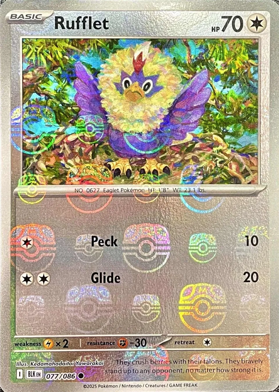 Rufflet  (Master Ball)